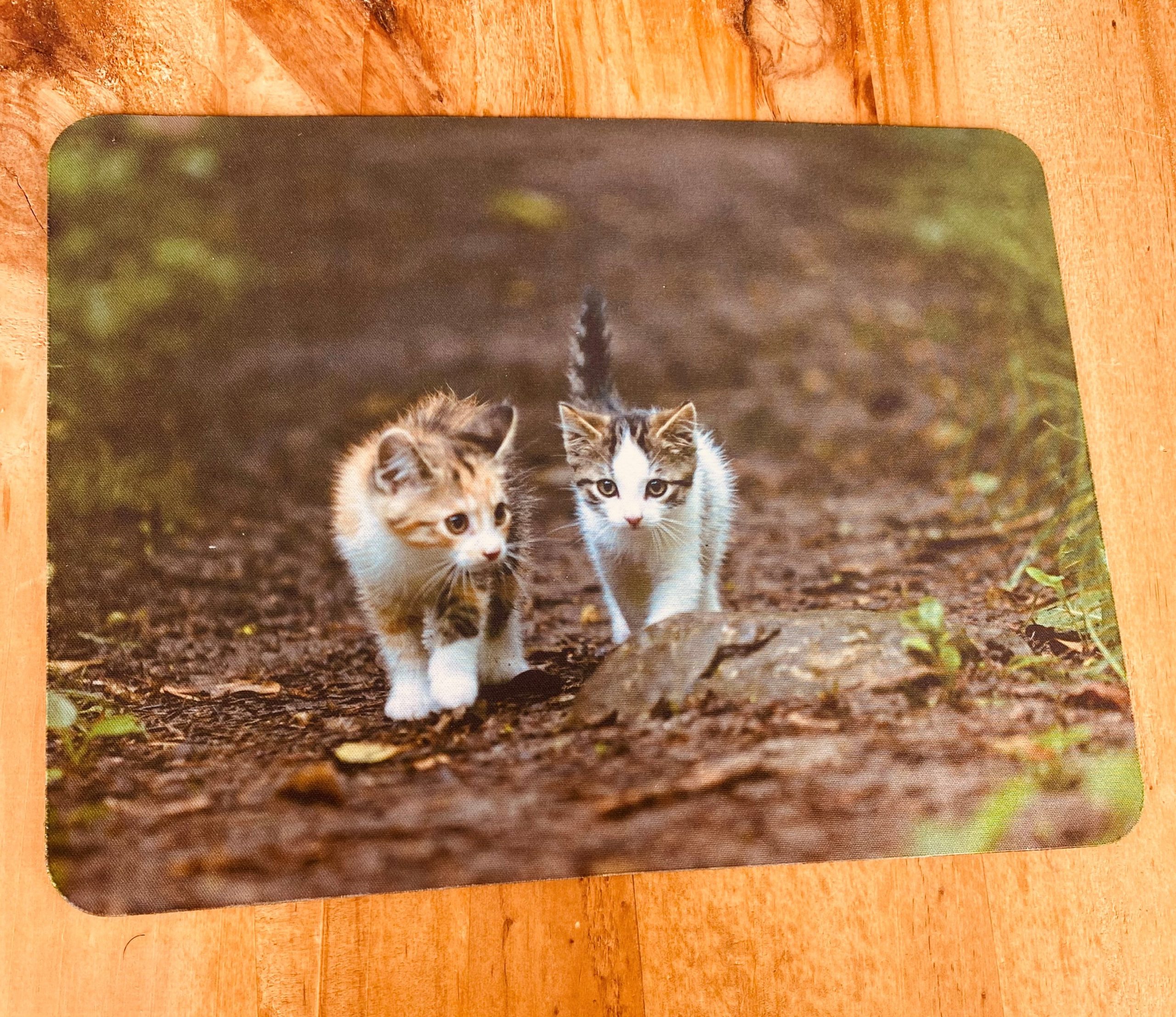 Mousepad – Kittens Walking Together – Havenlea Handmade Products